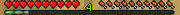 Exp bar