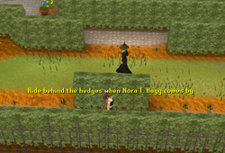 Hedgehide