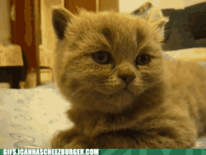 AWWWWWWWWW