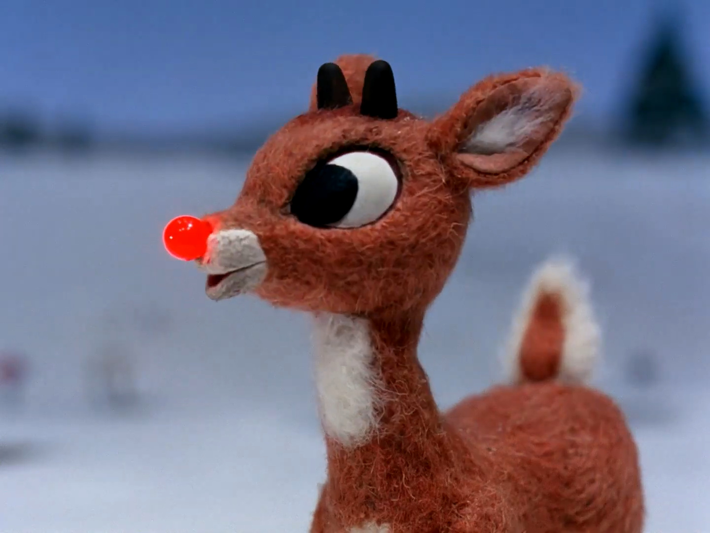 Rudolph Christmas Specials Wiki 8781