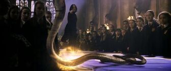 Vipera Evanesca Snape