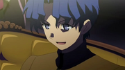 Fsn shinji0016