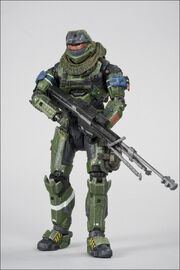 CP.204