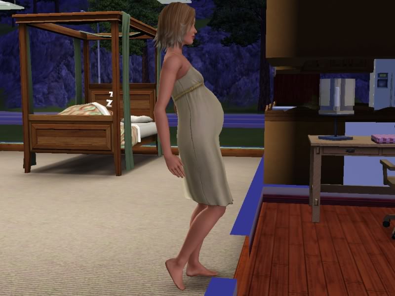 Image Pregnant Sim 1 The Sims Wiki