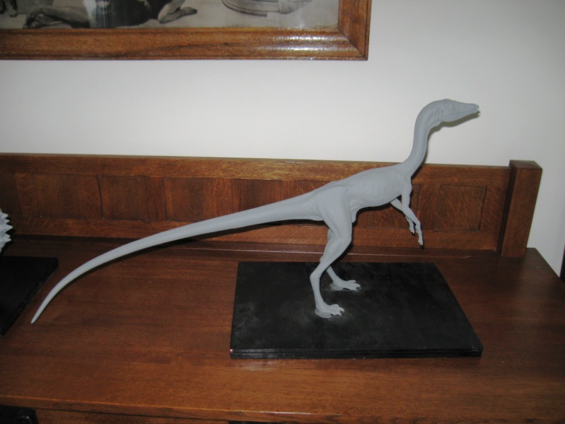 compsognathus fossil for sale