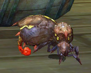 Cockroach