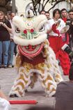 Japanese golden dragon