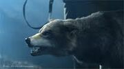 Images (6)