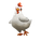 White Chicken