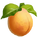 Apricot