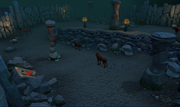 Hellhounds Taverley