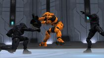 Grif punched