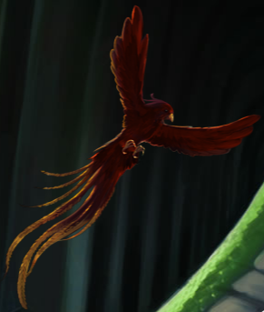 harry potter phoenix