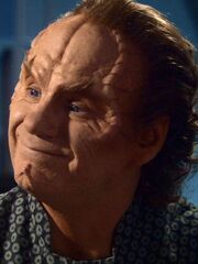 Phlox 2154