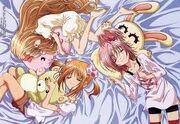 Yaya,rima and amu