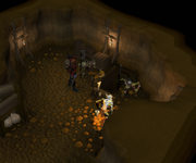 Zanik enters