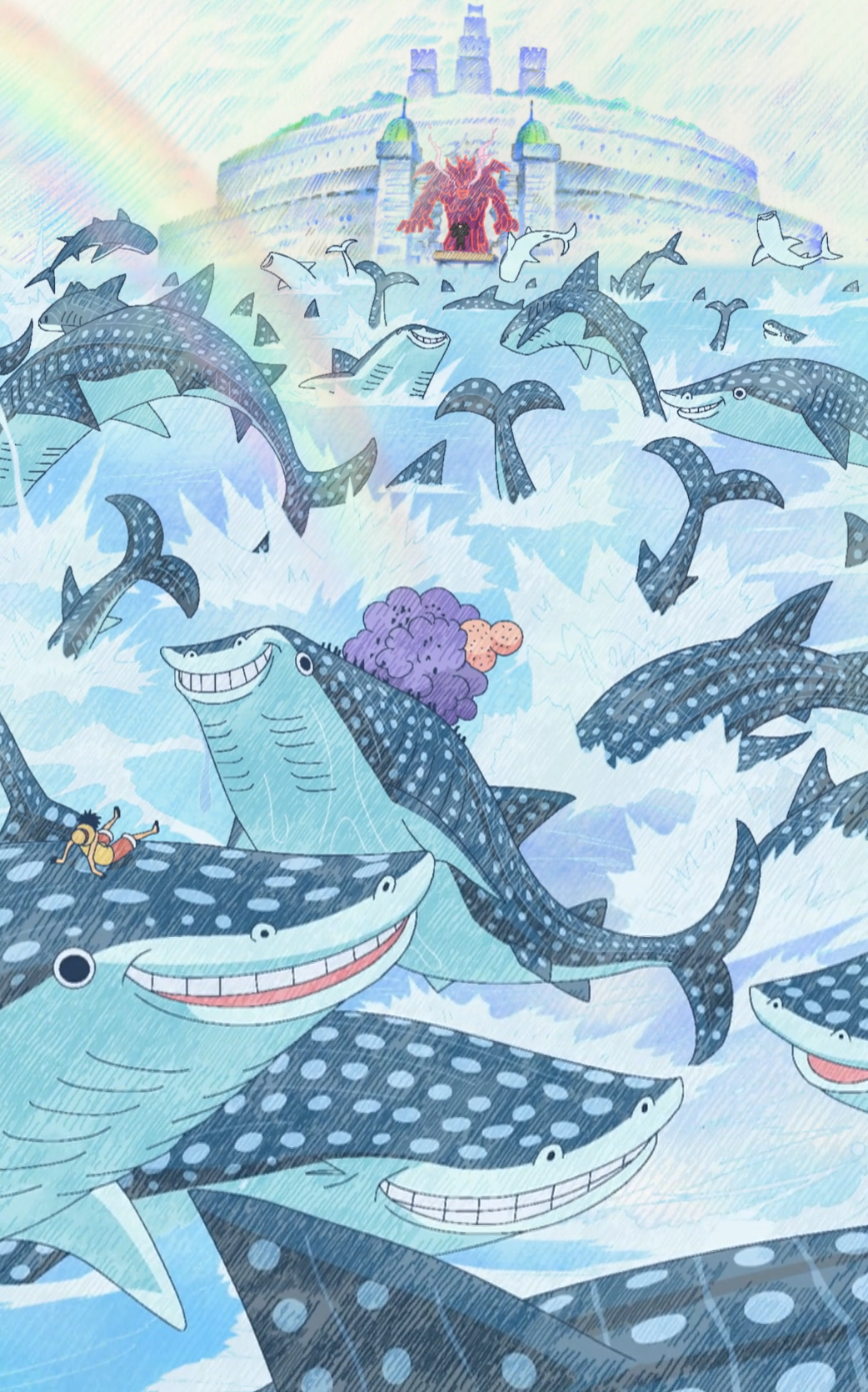 whale shark jinbei