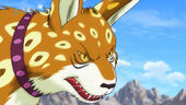 Rikky face closeup