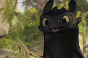 Toothless1