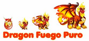 Dragon fuego puro