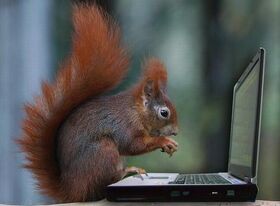 Internetz time