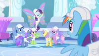 Rarity gaining a lot of attention S1E16