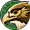 Eagle_Eye.png