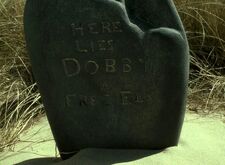 HPDH2-DobbyGrave