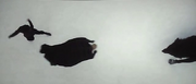Vlcsnap-2013-01-31-14h57m31s118