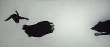Vlcsnap-2013-01-31-14h57m31s118