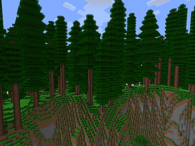 Redwood_Forest.png