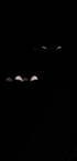 Eyes
