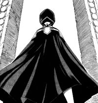 The Mysterious Woman