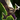 20px-Executioner%27s_Calling_item.png