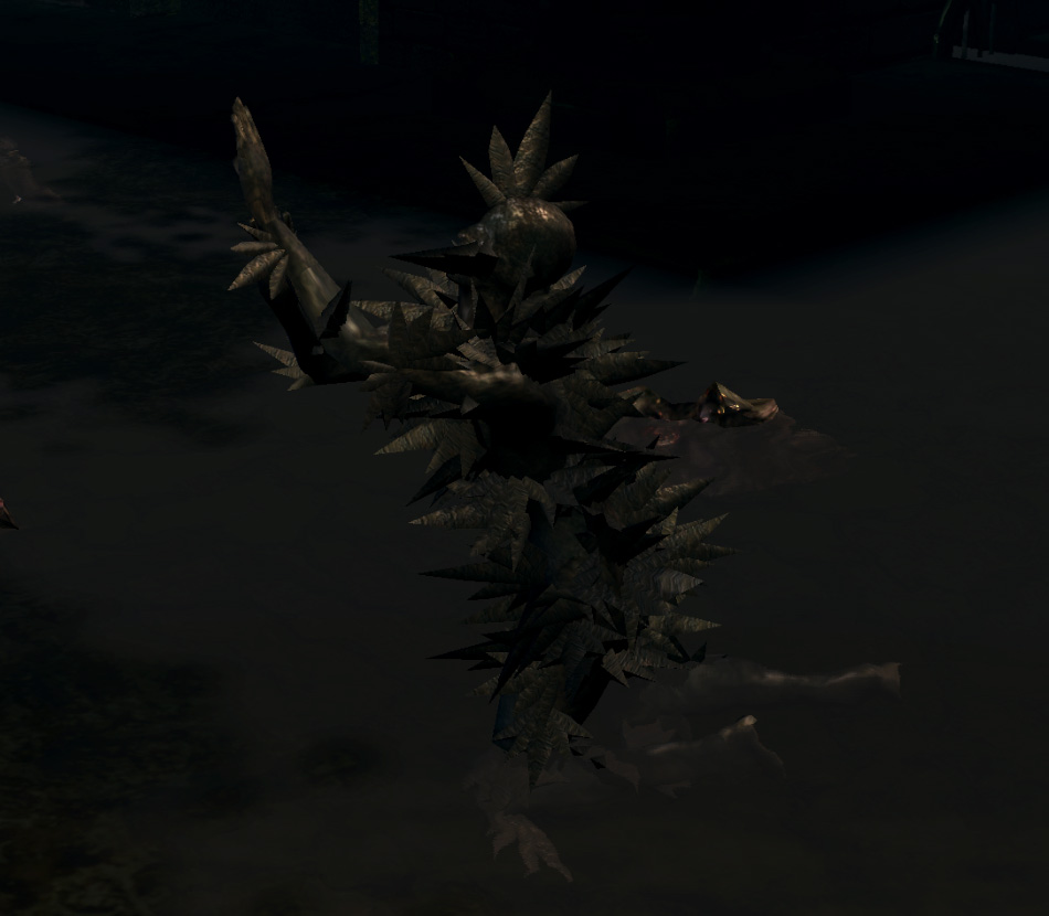 order of the souls curse