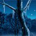 Mittlerer Baum