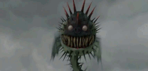 Death