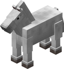 HORSES