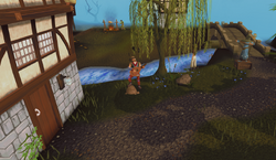 Lumbridge musician