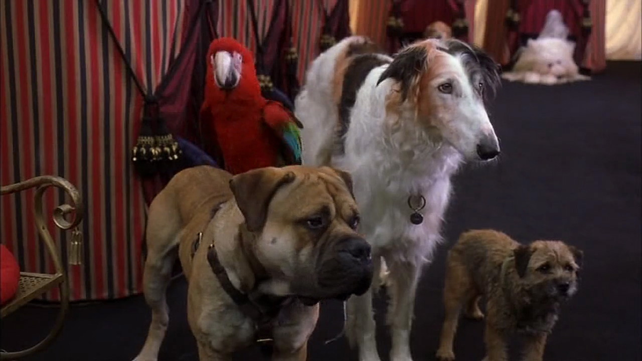 Image 102 Dalmatians Disneyscreencaps Com 5764 Disneywiki