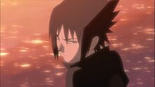 Naruto Shippuuden 215-302