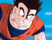 Gohan foto7