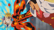 Marco stops Akainu