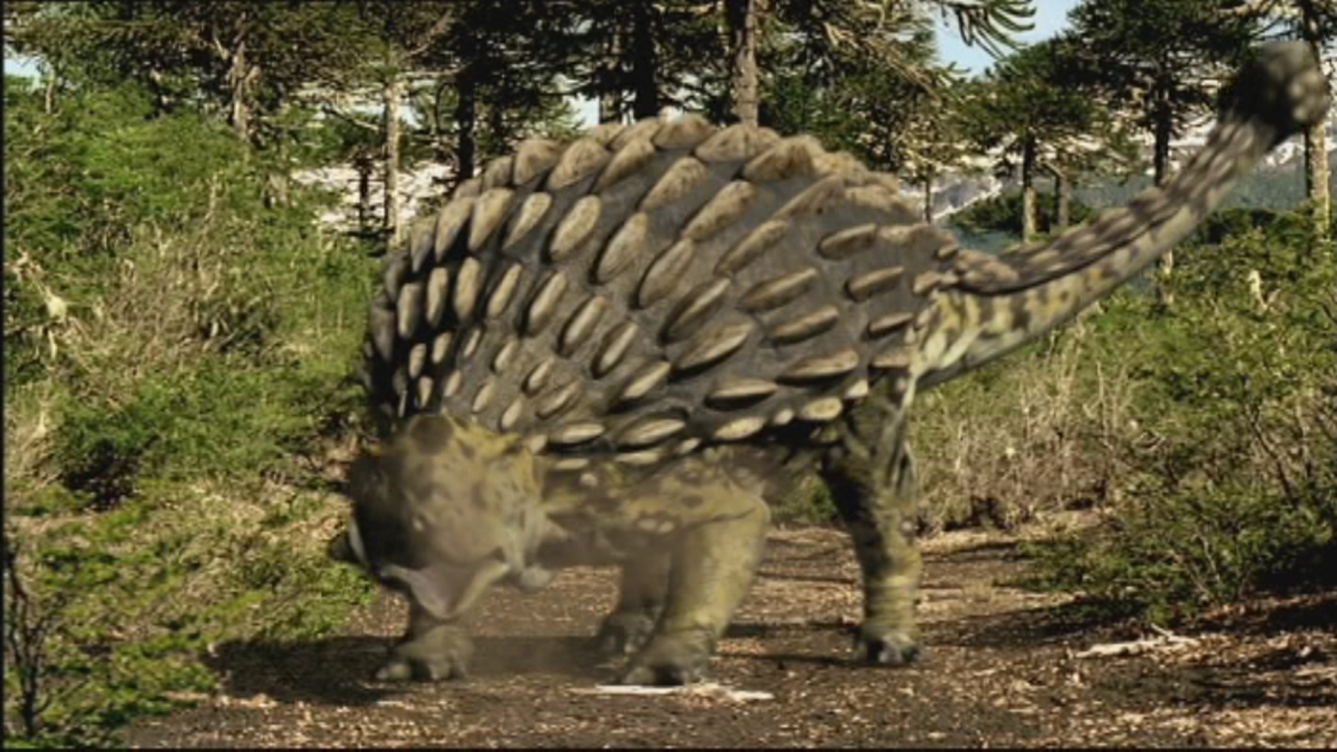 dino storm ankylosaurus