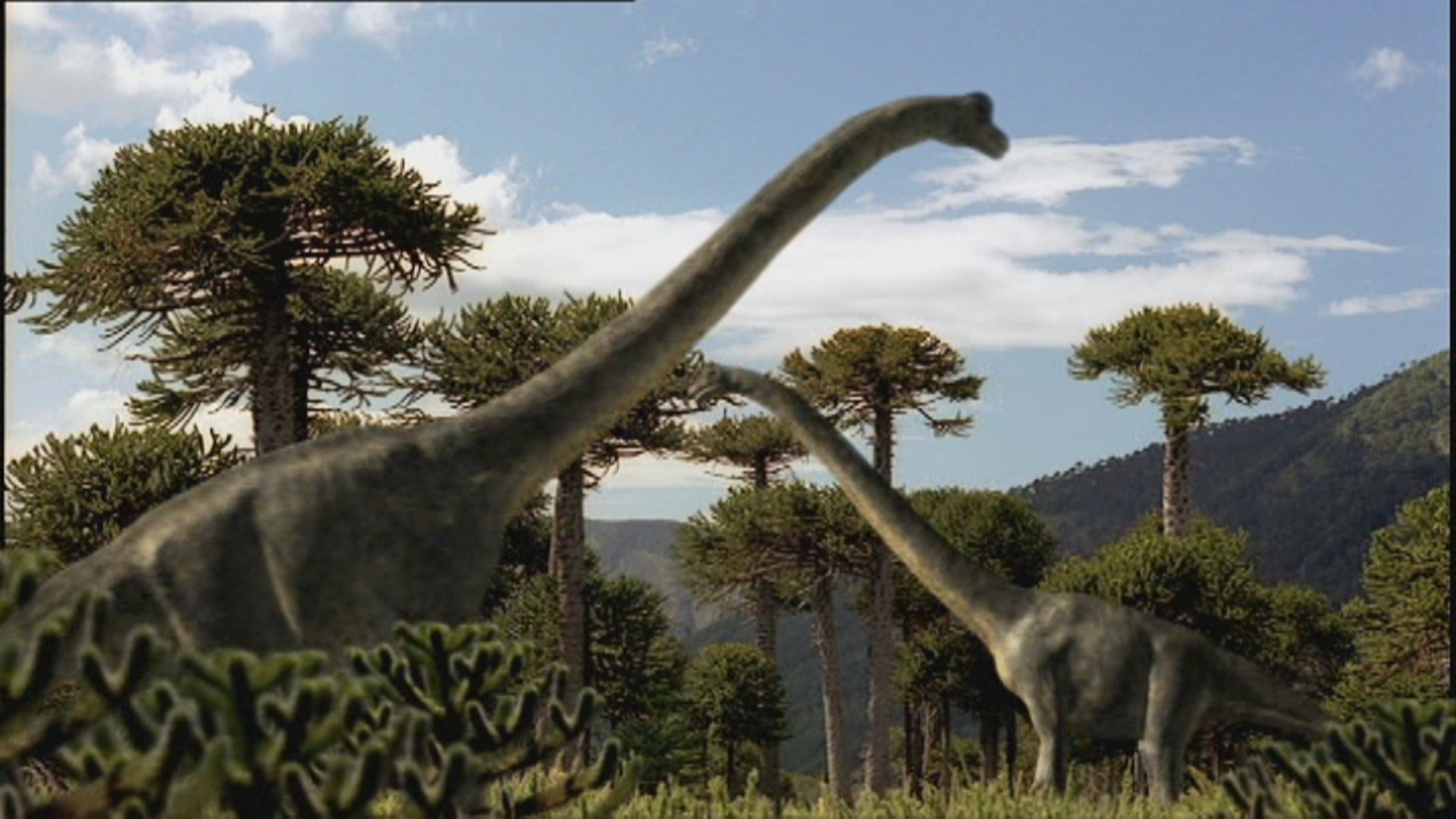 giant brachiosaurus