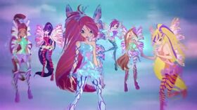 WinX-5x14-198