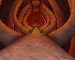Ascension Ribcage