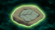EP797 Piedra hoja