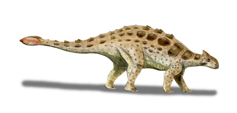 saurian ankylosaurus