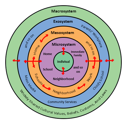 bioecological-model-psychology-wiki